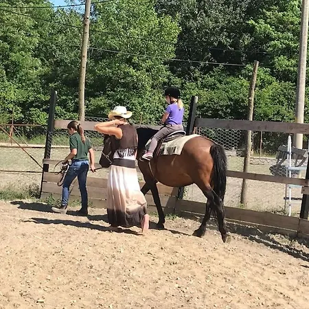 Ferienhaus Villa Bodiky *