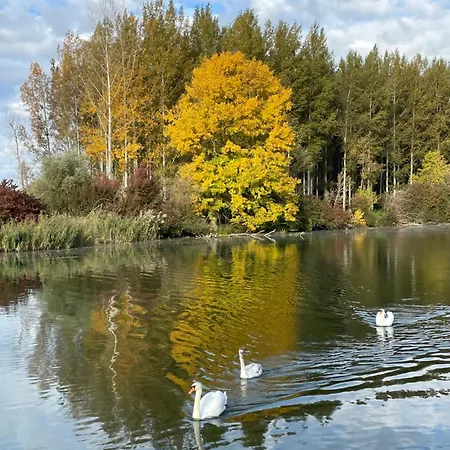 Villa Bodiky 度假居