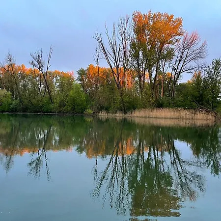 펜션 Villa Bodiky *